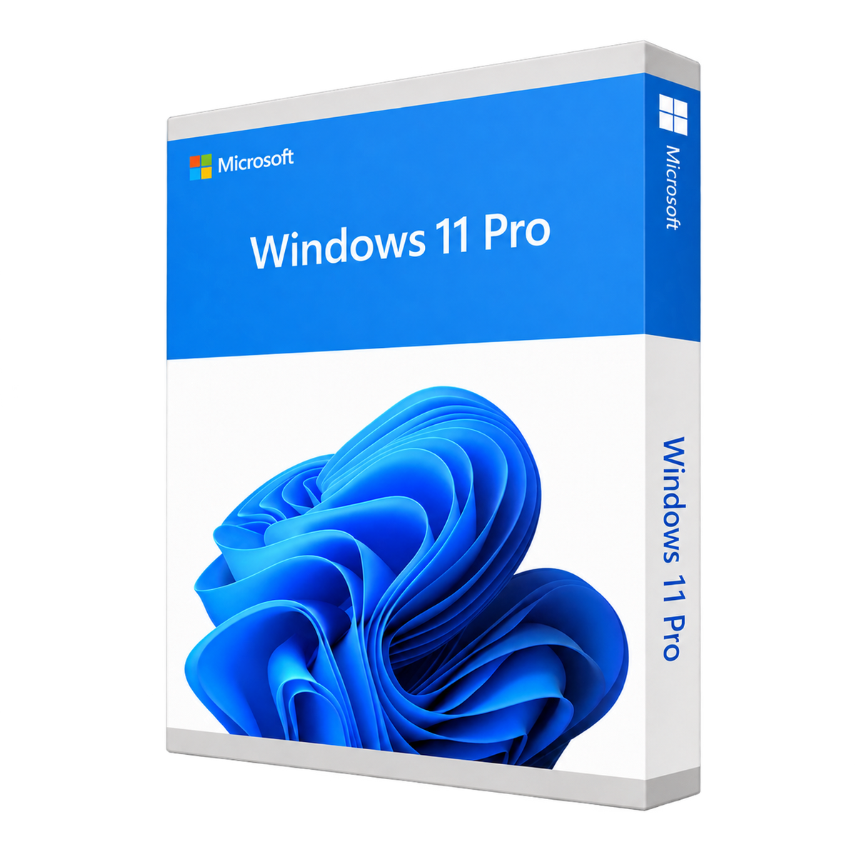 Microsoft Windows 11 Pro — OEM Licence — 1 PC — product illustration