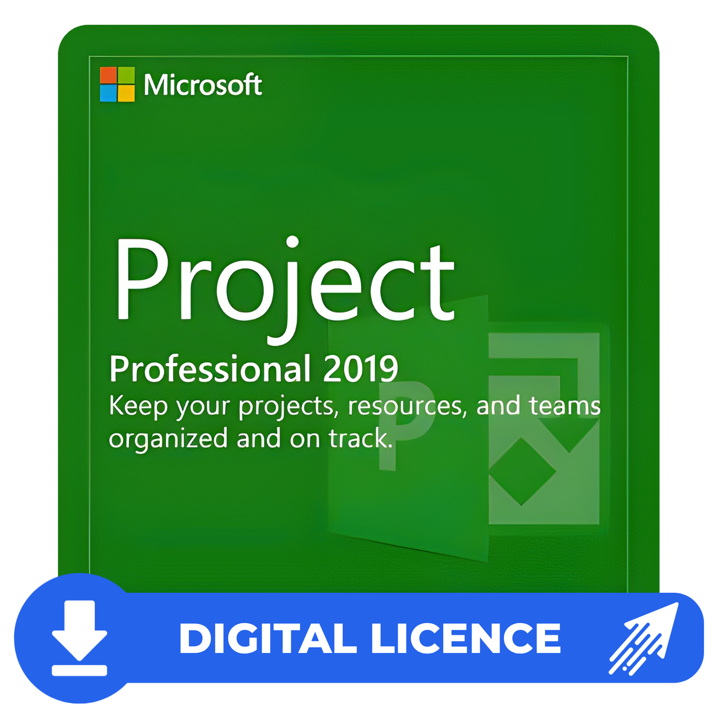 Microsoft Project Professional 2019 Product Key Digital ESD 076-05795